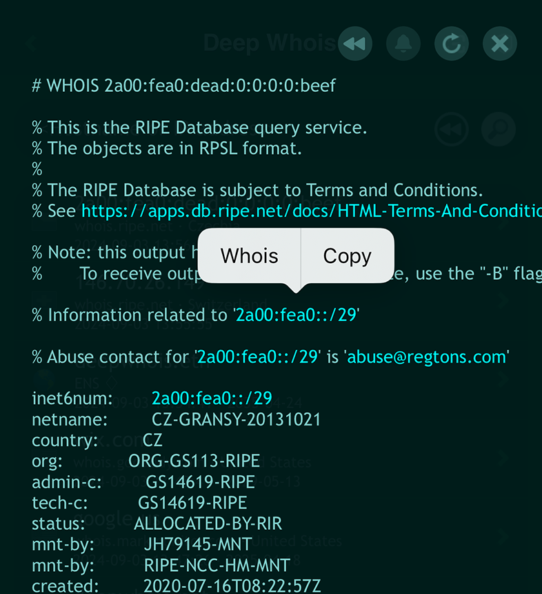 IP Address Whois Lookup on iOS: Menu for IPv6 Network