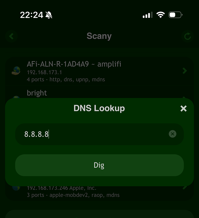 Scany Net Scanner on iOS: DNS Lookup Query for IPv4 (G)