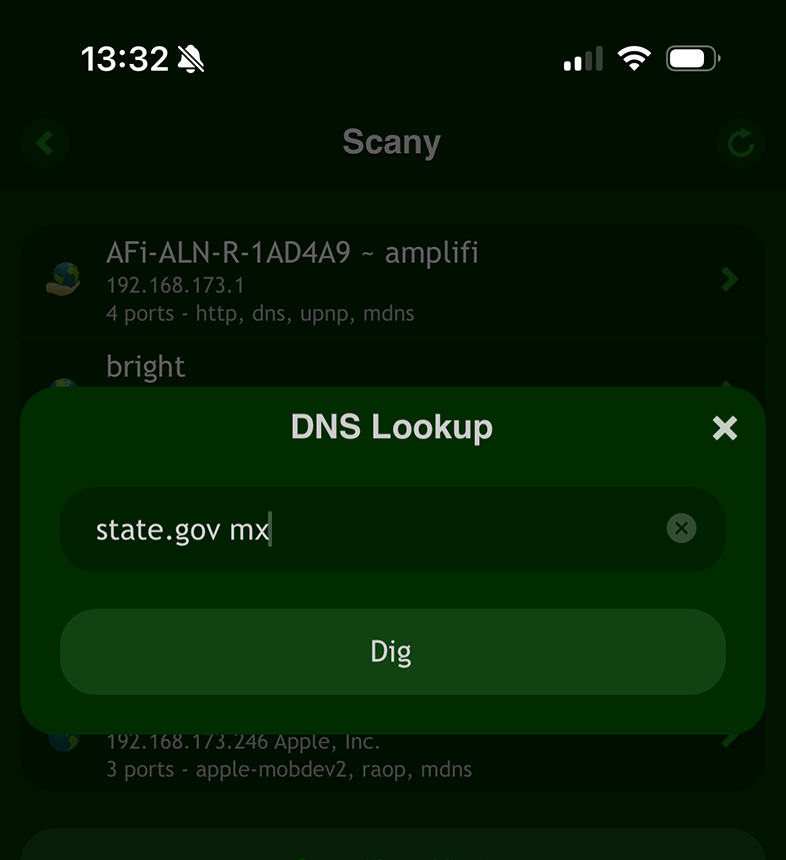 Scany Net Scanner on iOS: DNS Lookup Query for state.gov mx