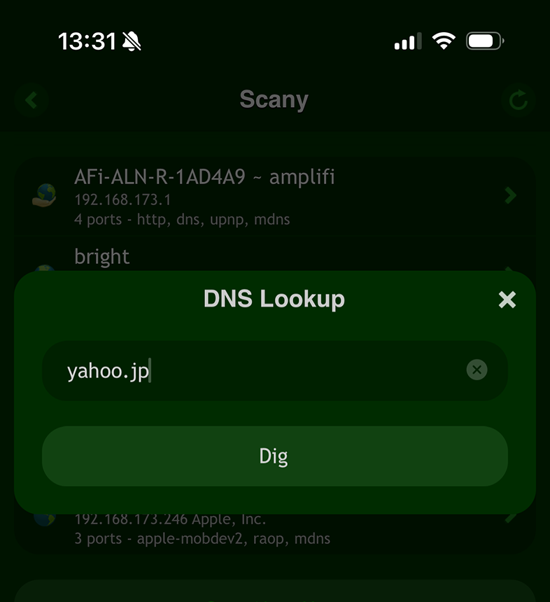 Scany Net Scanner on iOS: DNS Lookup Query yahoo.jp