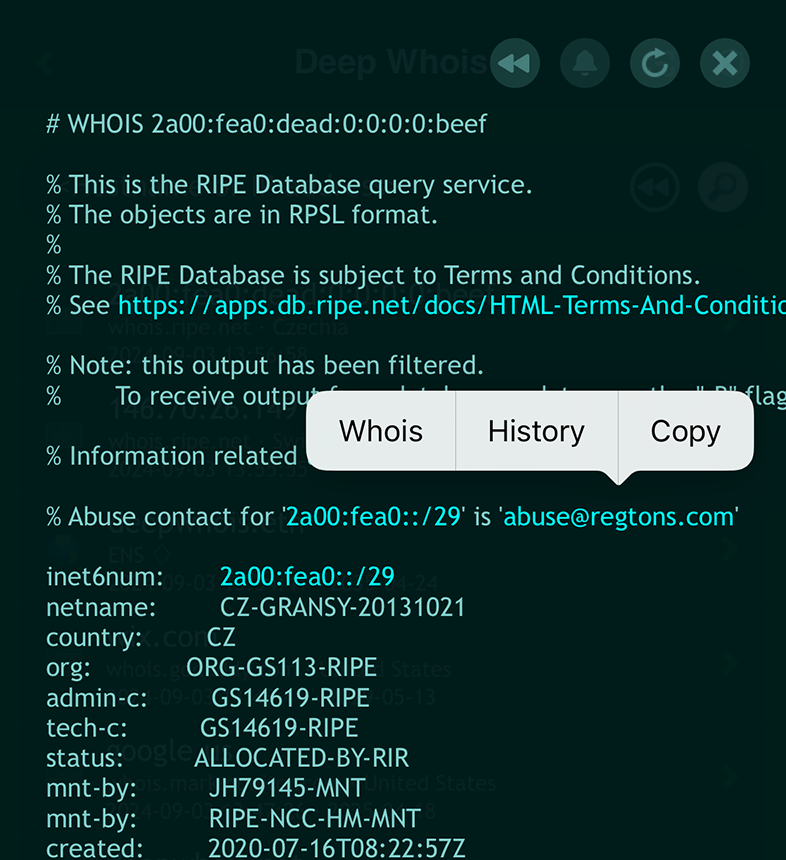 Ricerca Whois di indirizzo IP su iOS: menu per link IPv6