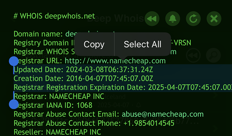 Whois paieška iOS: datos domenui deepwhois.net